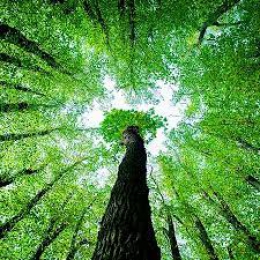 Heritage Institute Instructor Lawrence Rzeznik